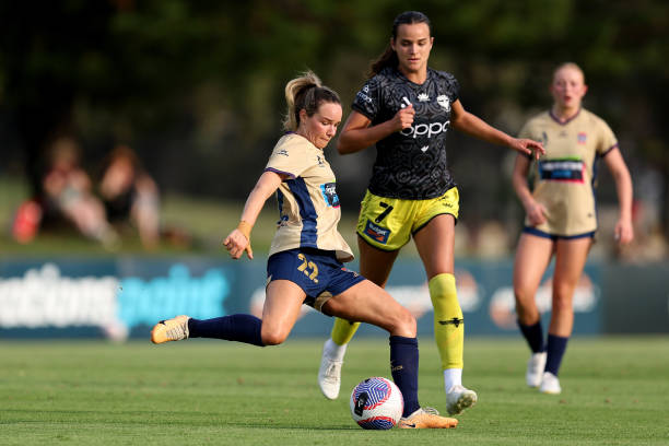 随着特狮的 随着特狮的